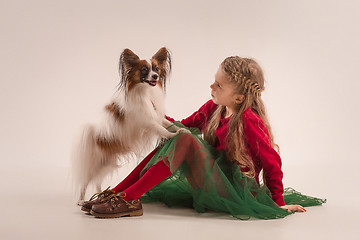 Image showing Studio portrait of a small yawning puppy Papillon