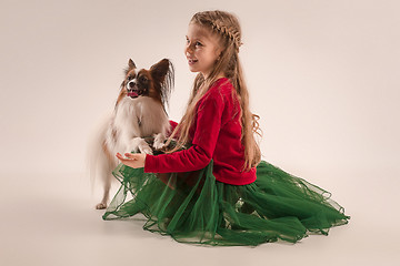 Image showing Studio portrait of a small yawning puppy Papillon