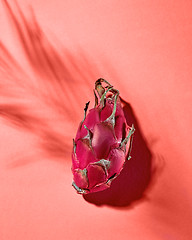 Image showing Dragon fruit or Pitahaya with plant shadows isolated on a Living Coral background. Copy space. Top view