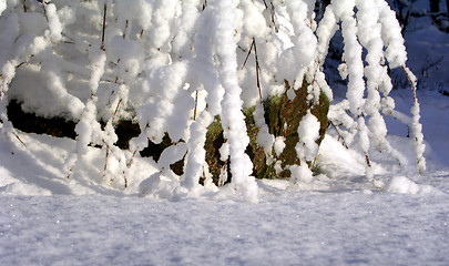 Image showing Icy Stone