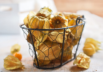 Image showing Physalis