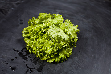 Image showing Green organic lettuce salad.