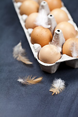 Image showing Farm chicken eggs in cardboard container and feathers.