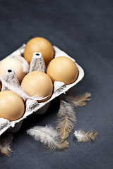 Image showing Farm chicken eggs in cardboard container and feathers.