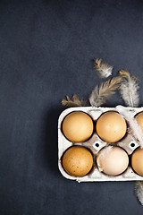 Image showing Farm chicken eggs in cardboard container and feathers.