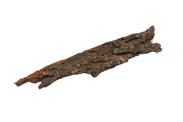 Image showing Tree bark on white