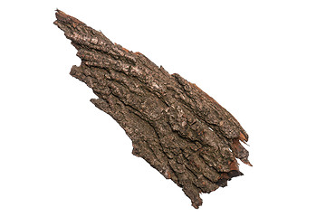 Image showing Tree bark on white