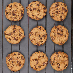 Image showing Baking grid with chokolate cookies