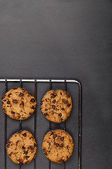 Image showing Baking grid with chokolate cookies.