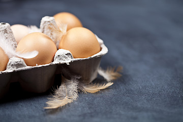 Image showing Farm chicken eggs in cardboard container and feathers