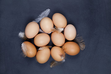 Image showing Organic farm chicken eggs and feathers.