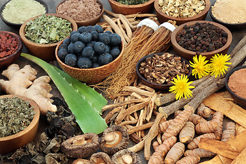 Image showing Adaptogen Food Selection