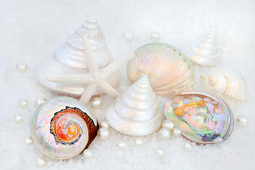 Image showing Seashells and Pearls