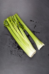 Image showing Fresh green organic celery and water on black background.