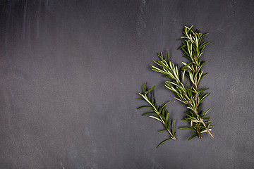 Image showing Fresh rosemary herb on black background. 