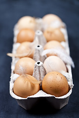 Image showing Farm chicken eggs in cardboard container and feathers.
