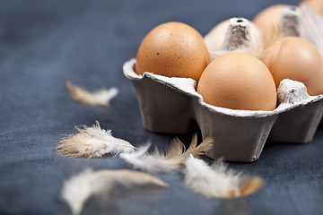 Image showing Farm chicken eggs in cardboard container and feathers.