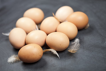 Image showing Farm chicken eggs and feathers