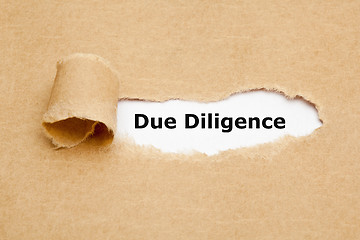 Image showing Due Diligence Risk Management Ripped Paper Concept