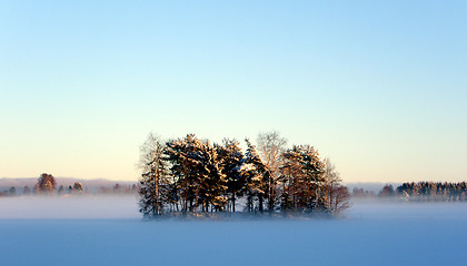 Image showing Frozen Lake