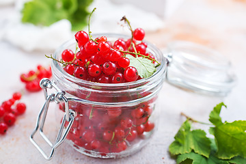 Image showing red currant