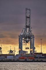 Image showing Container Dock in Rotterdam