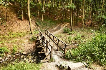 Image showing Forest path bridge crossing stream