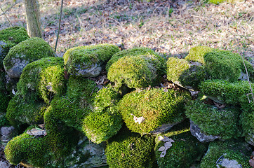 Image showing Old moss covered stone wall