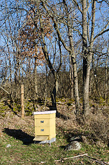 Image showing Yellow beehive in a meadow