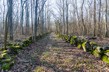 Image showing Historical moss covered dry stone walls