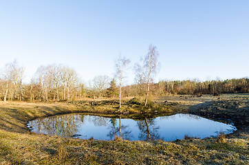 Image showing Watering hole with reflections in the countryside