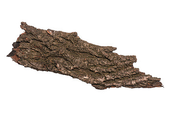 Image showing Tree bark on white