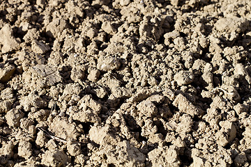 Image showing Soil texture background