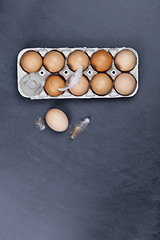 Image showing Farm chicken eggs in cardboard container and feathers.