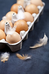 Image showing Farm chicken eggs in cardboard container and feathers.