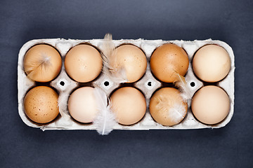 Image showing Farm chicken eggs in cardboard container and feathers.