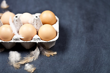 Image showing Farm chicken eggs in cardboard container and feathers.