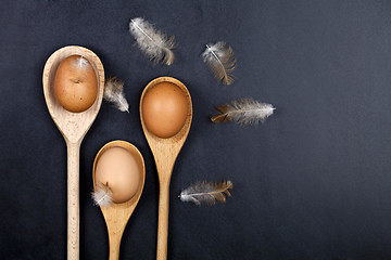 Image showing Fresh chicken eggs in wooden spoons and fethers. 