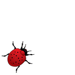 Image showing ladybird