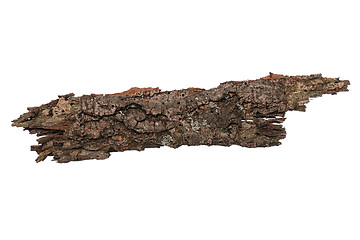 Image showing Tree bark on white