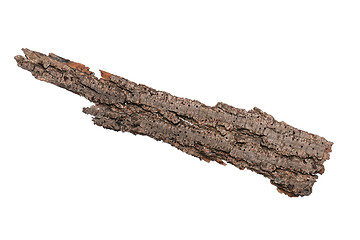 Image showing Tree bark on white