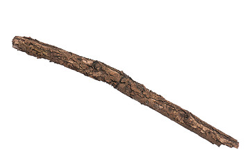 Image showing Dry tree branch on white