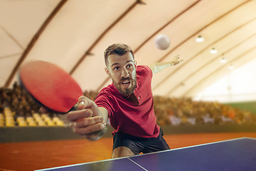 Image showing The table tennis player serving