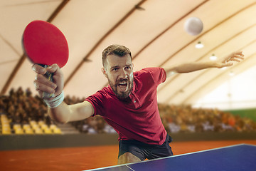 Image showing The table tennis player serving