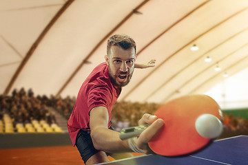 Image showing The table tennis player serving