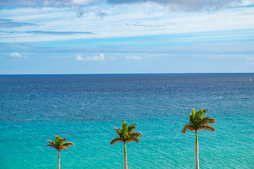 Image showing Beach Fuerteventura