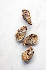 Image showing Fresh seafood - raw natural closed oysters on a stone white background with copy space. Top view