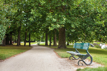 Image showing Wooden park bench under oak trees