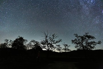 Image showing Starry sky landscape