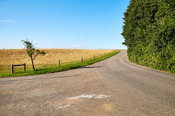 Image showing Road through farmlands